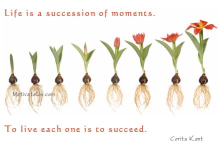 inspirational quote: Life is a succession of moments. To live each one is to succeed.