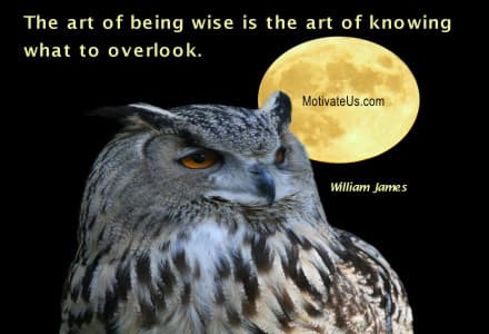 inspirational quote: The art of being wise is the art of knowing what to overlook.
