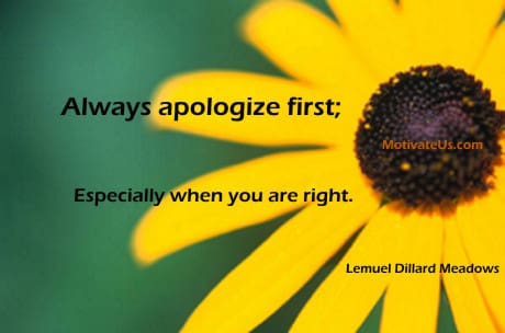 A Picture: (Yellow Cone Flower with The Quote:  quote1 on it.