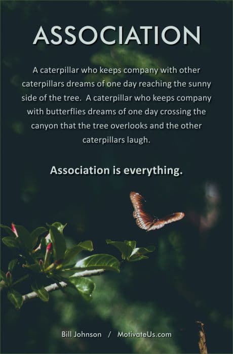 butterfly flying free