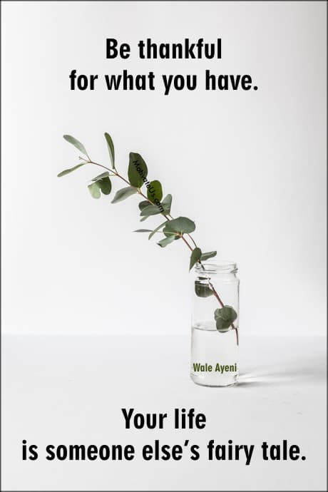 a quote by Wale Ayeni on a picture of clear vase and one branch of greenery