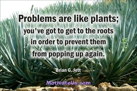 A Picture: (Yucca Plants with The Quote:  quote1 on it.