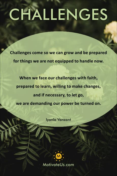 growth of plants, struggling for light