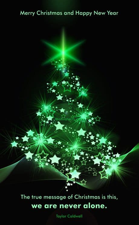 Beautiful gree christmas tree.