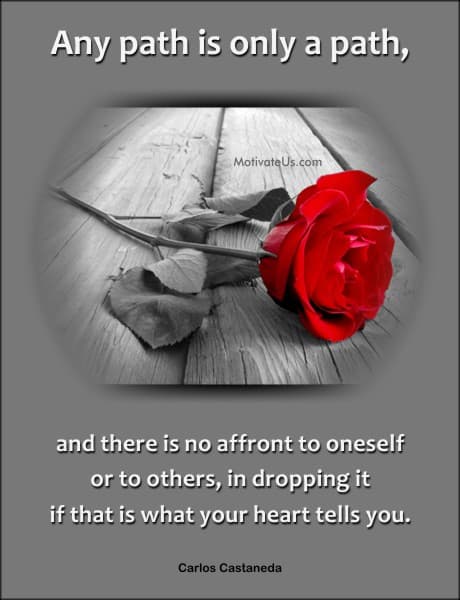 A Picture: (Dropped Rose On A Path with The Quote:  quote1 on it.