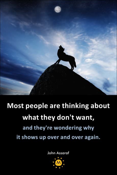 wolf on a mountaing top