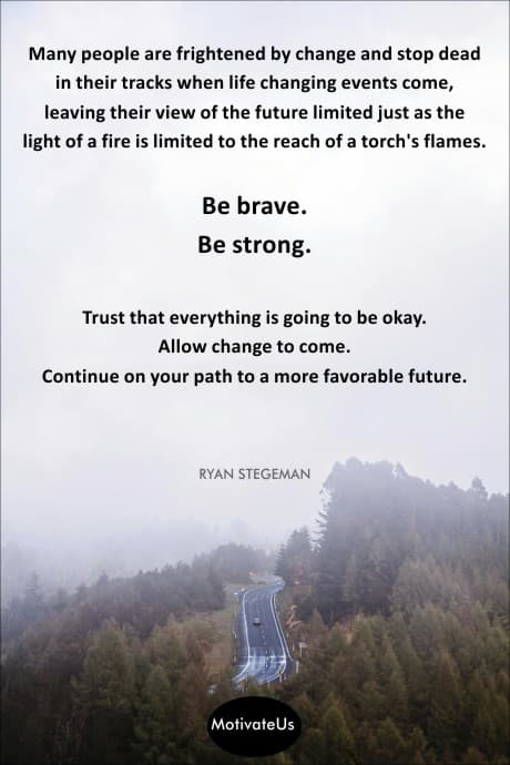 view from above of a road in the forest