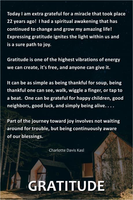 lookslike cabins in the woods