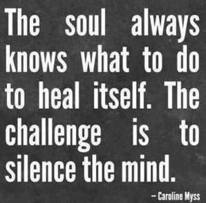 The soul always knows what to do to heal itself. The challenge is to silence the mind. - Caroline Myss