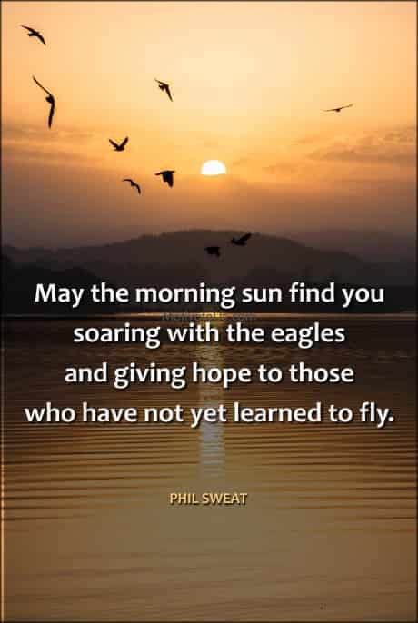 birds soaring in the sunrise and a quote by Phil Sweat
