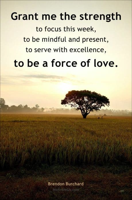 picture of lone tree standing in a field and a quote by Brendon Burchard