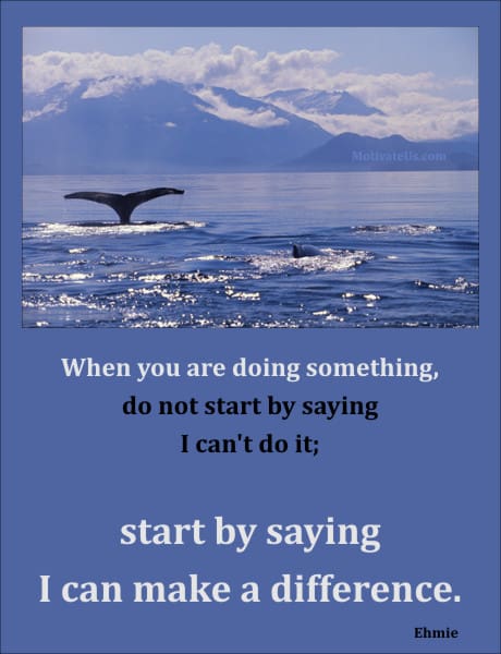 A Picture: (Whales In The Ocean with The Quote:  quote1 on it.