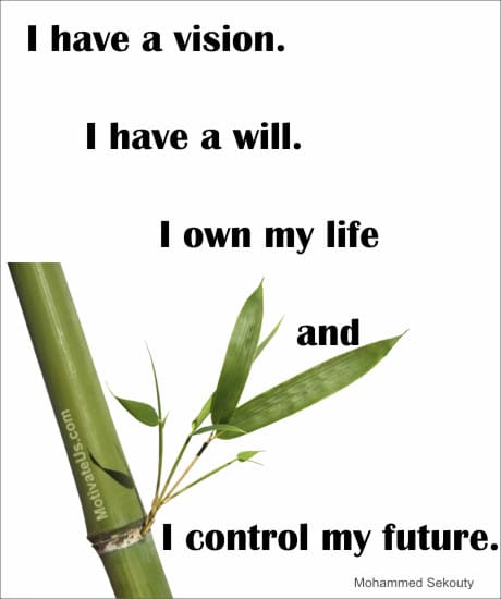 A Picture: (Bamboo Growing with The Quote:  quote1 on it.