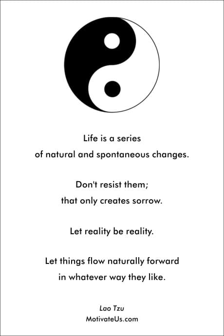 ying and yang