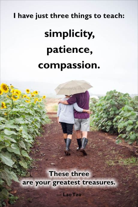 inspirational quote on picture of a couple walking through field of sunflowers