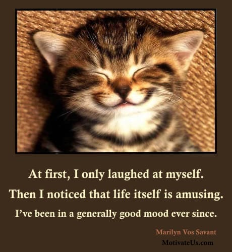 A Picture: (Picture Of A Smiling Kitten with The Quote:  quote1 on it.