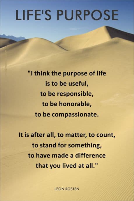 sand dunes and a quote asking what is the purpose of life