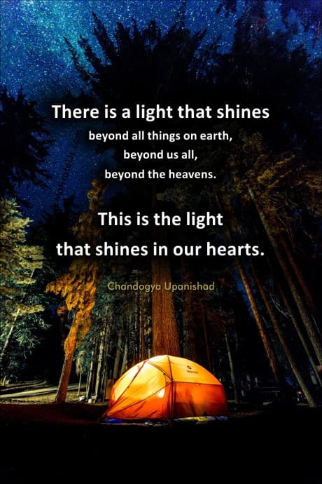 lit up tent in the forest