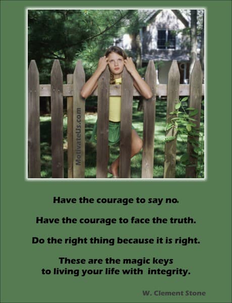 A Picture: (Little Girl Looking For Something Through The Fence with The Quote:  quote1 on it.