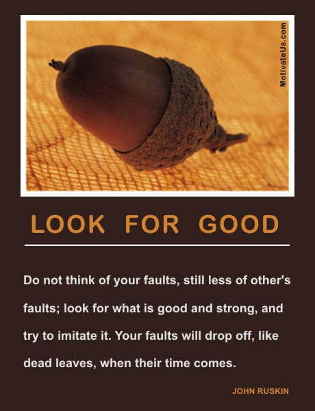 A Picture: (Picture Of An Acorn Close Up with The Quote:  quote1 on it.