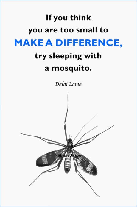 Dalai Lama quote about making a difference with a mosquito in the background.