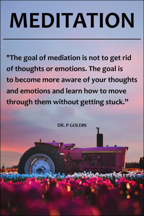 words from Dr. P Goldin and a field of flowers with a beautiful tractor in the sunset or sunrise