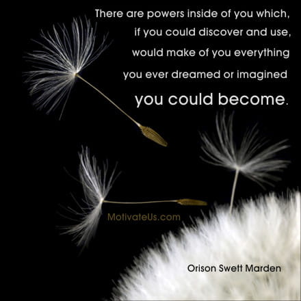 A Picture: (Seeds And Fluff with The Quote:  quote1 on it.