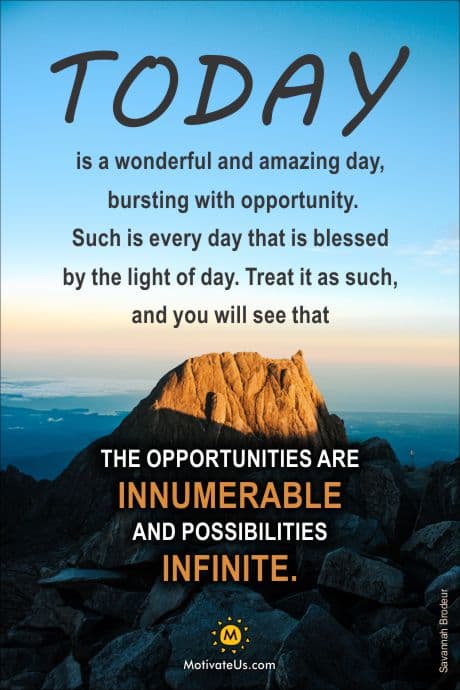 What Are You Looking For Today?