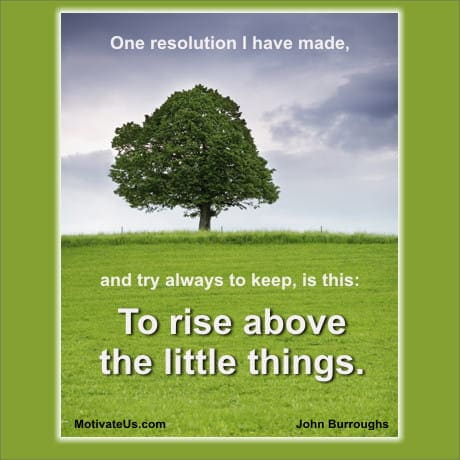 A Picture: (Tree And Grass with The Quote:  quote1 on it.