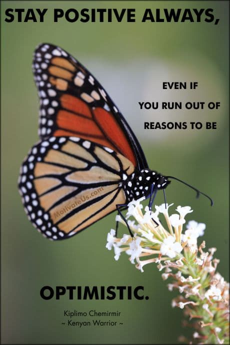 A Picture: (Butterfly On A Butterfly Bush with The Quote:  quote1 on it.