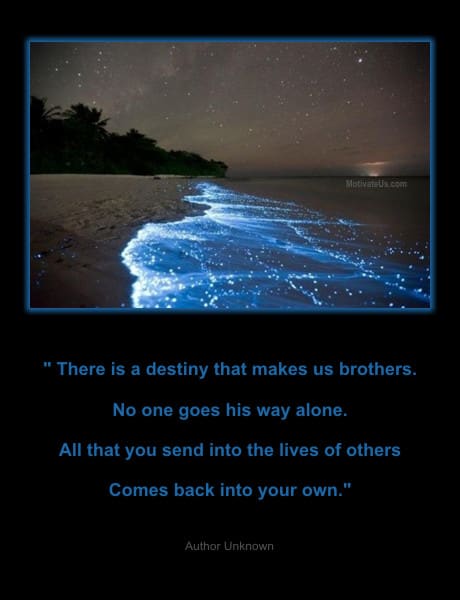 A Picture: (Beautiful Waves Coming Ashore with The Quote:  quote1 on it.