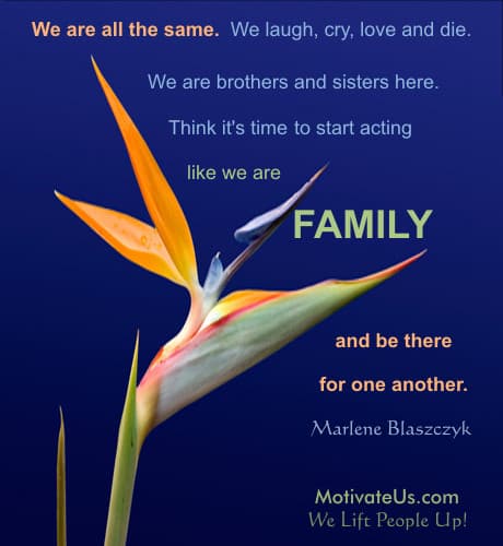 A Picture: (Bird Of Paradise with The Quote:  quote1 on it.