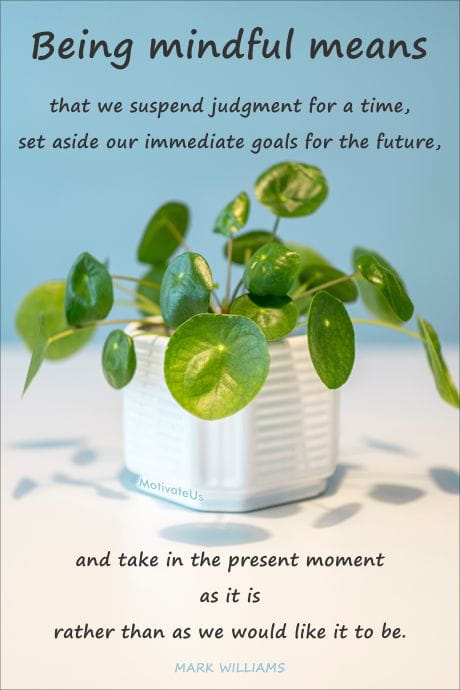 green plant on white table and a minfulness quote