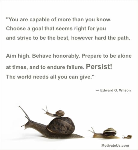 A Picture: (Snails with The Quote:  quote1 on it.