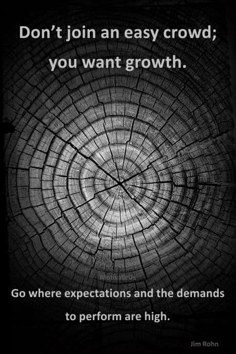 A Picture: (Rings Of A Tree with The Quote: quote1 on it.