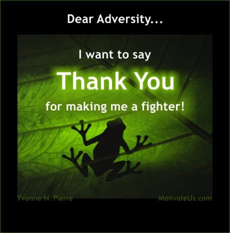 frog image through a leaf