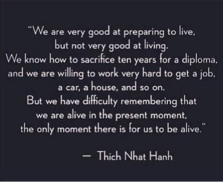wise words from Thich Nhat Hanh