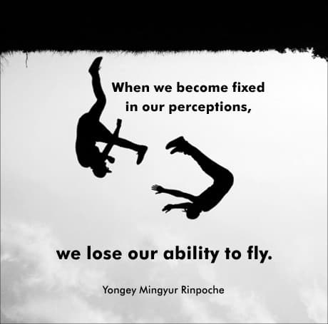 two people upside down and a quote by Yongey Mingyur Rinpoche 